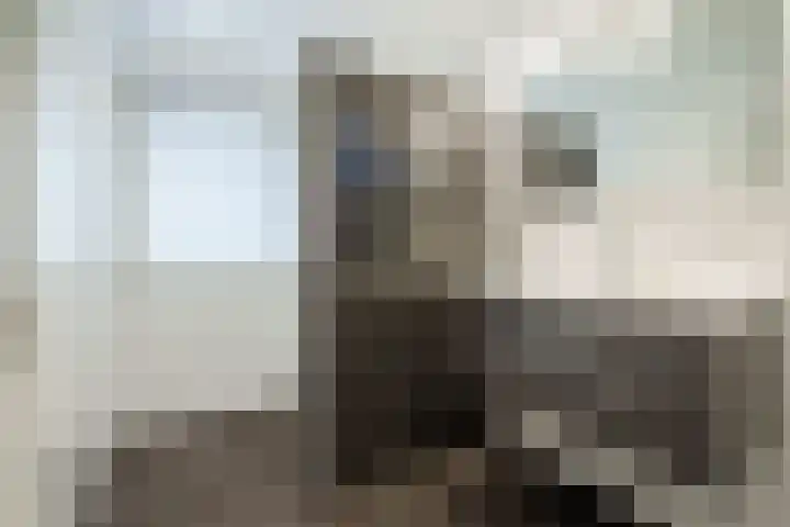 Ferdinand Bolhage 2 Nieuwegein thumbnail 16