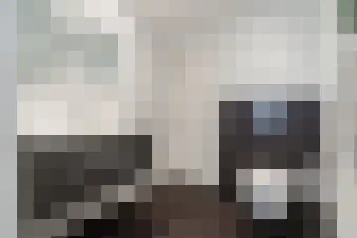 Ferdinand Bolhage 2 Nieuwegein thumbnail 17
