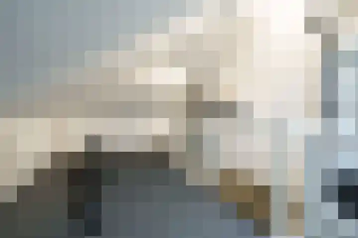 Ferdinand Bolhage 2 Nieuwegein thumbnail 19