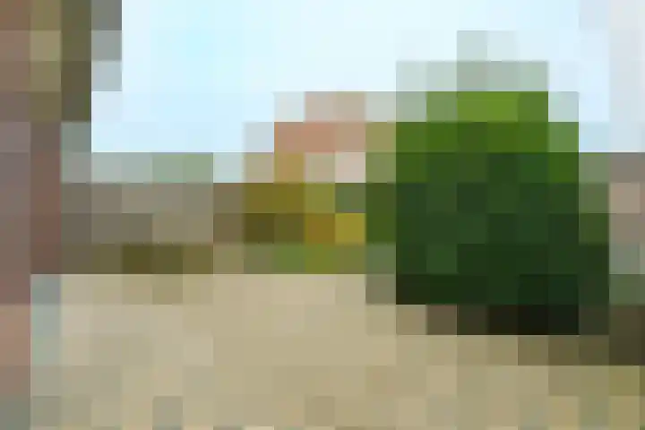 Ferdinand Bolhage 2 Nieuwegein thumbnail 20