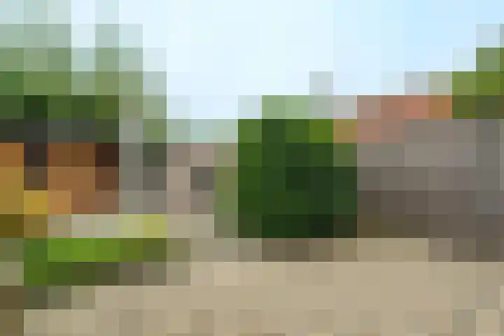 Ferdinand Bolhage 2 Nieuwegein thumbnail 21