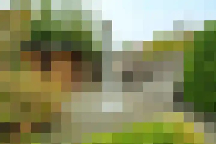 Ferdinand Bolhage 2 Nieuwegein thumbnail 22