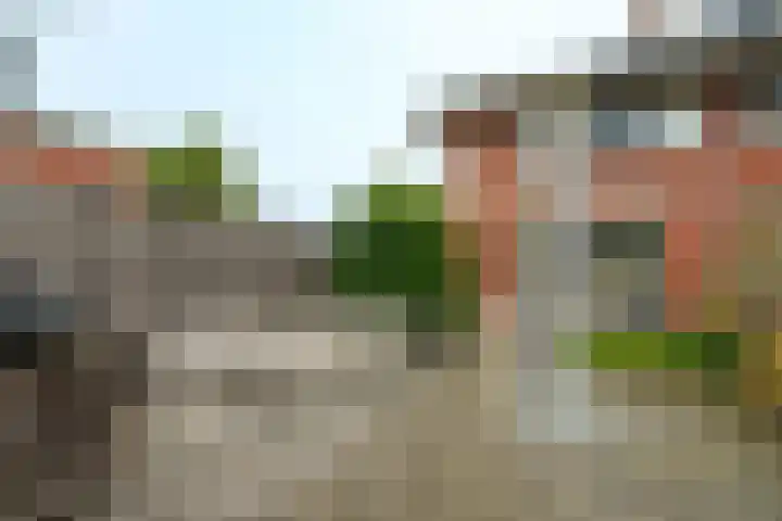 Ferdinand Bolhage 2 Nieuwegein thumbnail 23
