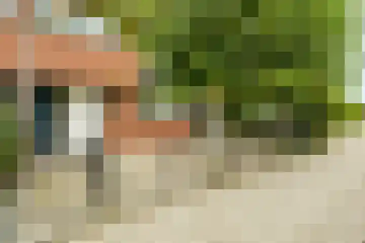 Ferdinand Bolhage 2 Nieuwegein thumbnail 4