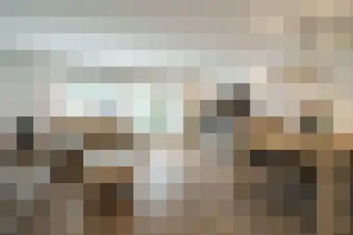 Ferdinand Bolhage 2 Nieuwegein thumbnail 5