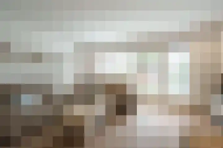 Ferdinand Bolhage 2 Nieuwegein thumbnail 6