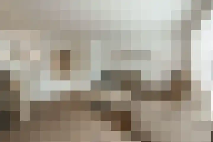 Ferdinand Bolhage 2 Nieuwegein thumbnail 7
