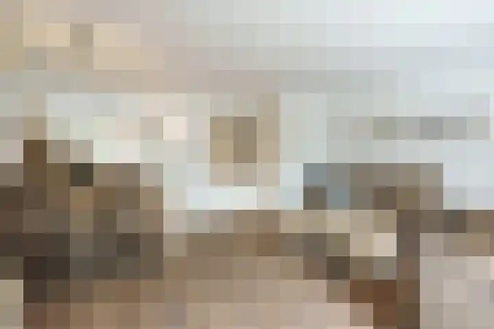 Ferdinand Bolhage 2 Nieuwegein thumbnail 8