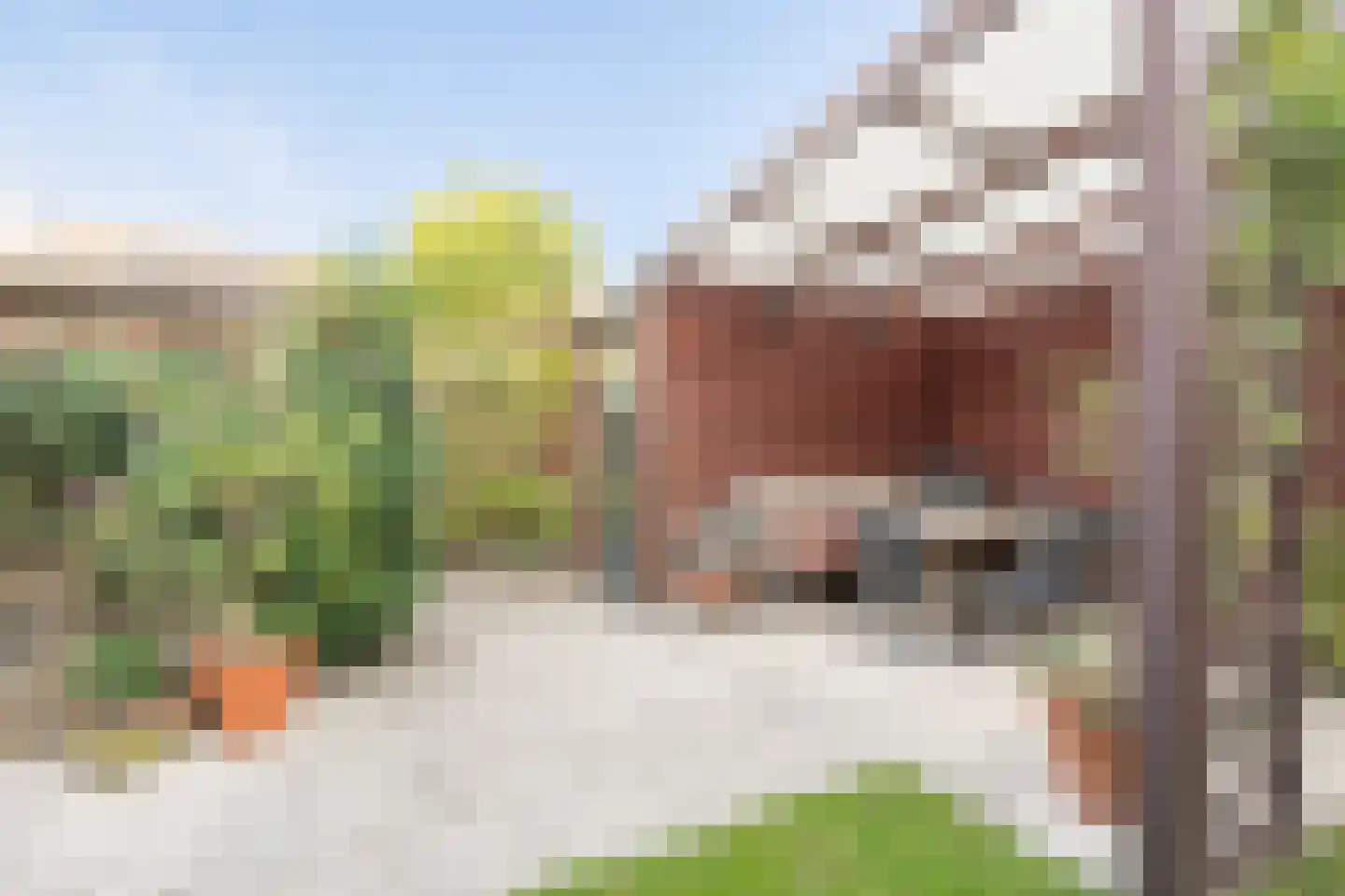 Ferdinand Bolhage 28 Nieuwegein thumbnail 33