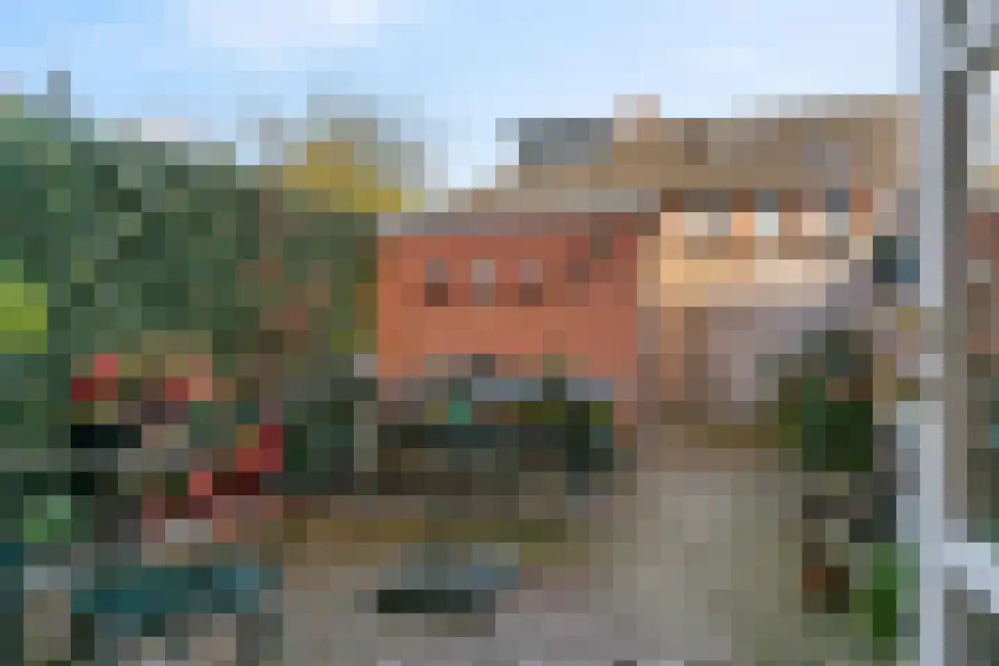 Ferdinand Bolhage 47 Nieuwegein thumbnail 11