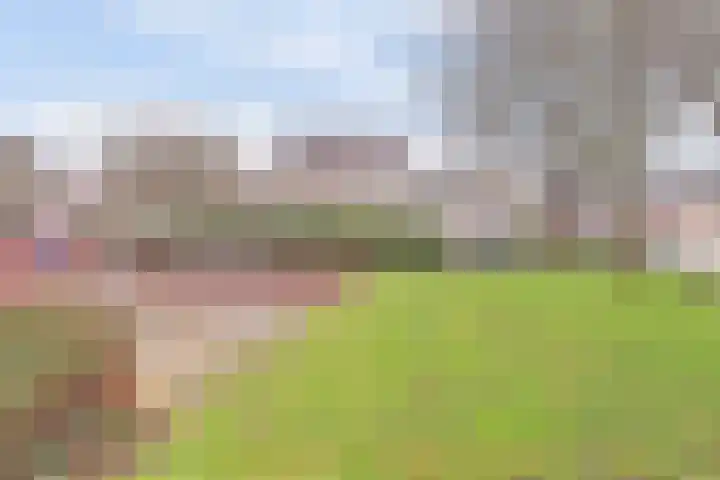 Ferdinand Bolhage 7 Nieuwegein thumbnail 34