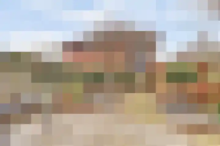 Ferdinand Bolhage 7 Nieuwegein thumbnail 6