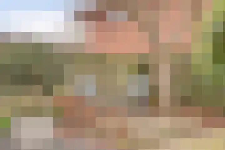Ferdinand Bolhage 7 Nieuwegein thumbnail 7