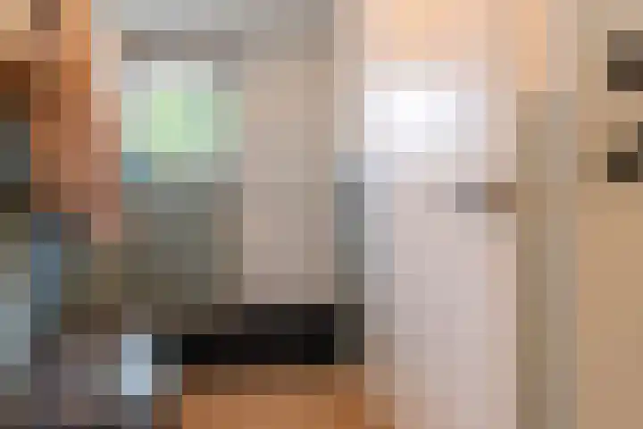 Ferdinand Bollaan 11 Voorschoten thumbnail 10