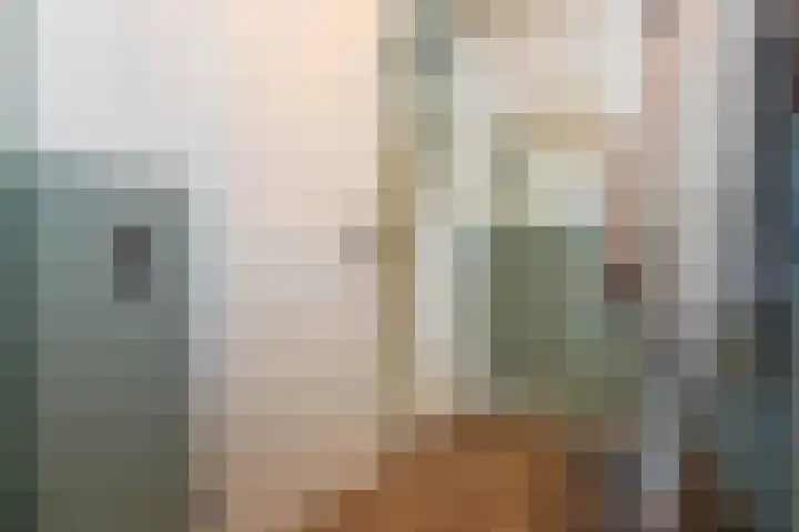 Ferdinand Bollaan 11 Voorschoten thumbnail 11
