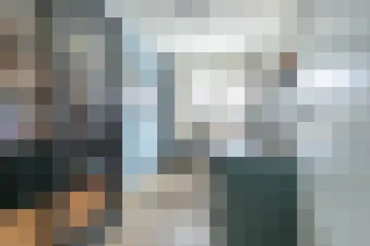 Ferdinand Bollaan 11 Voorschoten thumbnail 14