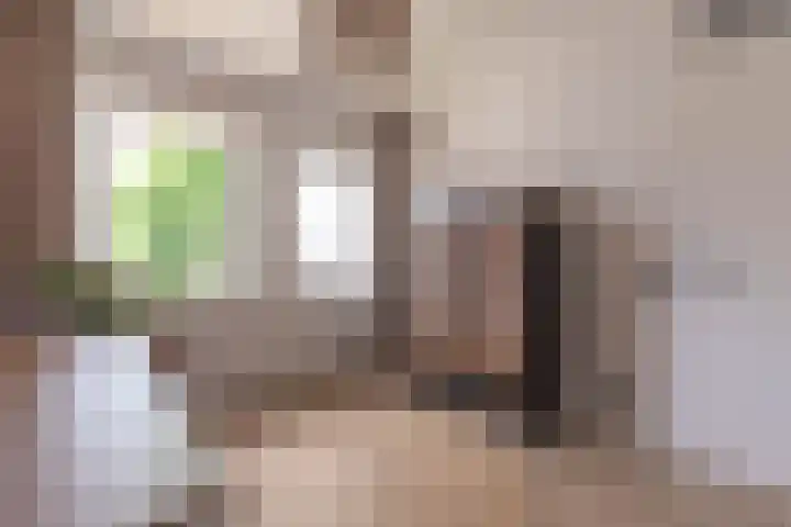 Ferdinand Bollaan 11 Voorschoten thumbnail 15
