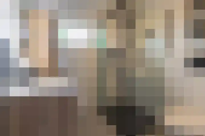 Ferdinand Bollaan 11 Voorschoten thumbnail 17