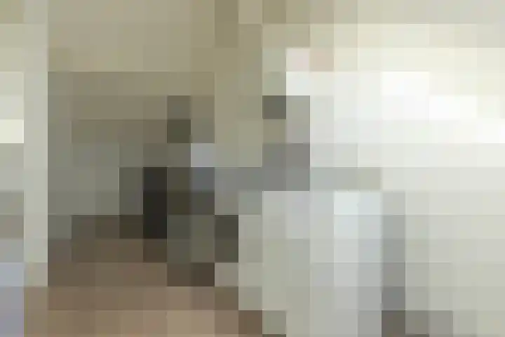 Ferdinand Bollaan 11 Voorschoten thumbnail 20