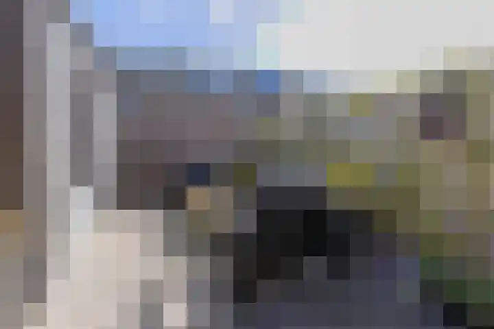 Ferdinand Bollaan 11 Voorschoten thumbnail 24