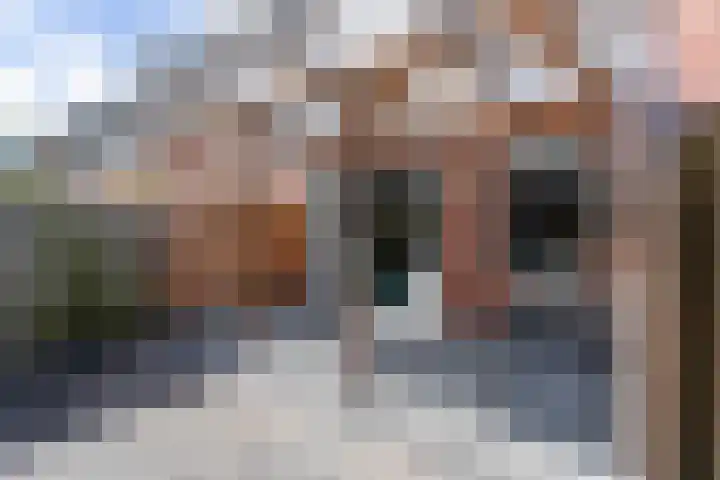 Ferdinand Bollaan 11 Voorschoten thumbnail 27