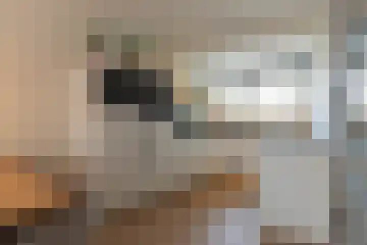 Ferdinand Bollaan 11 Voorschoten thumbnail 8