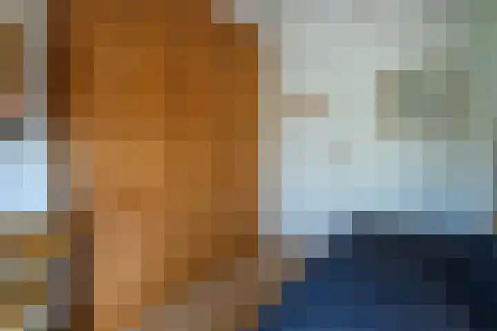 Ferdinand Bollaan 13 Baarn thumbnail 20