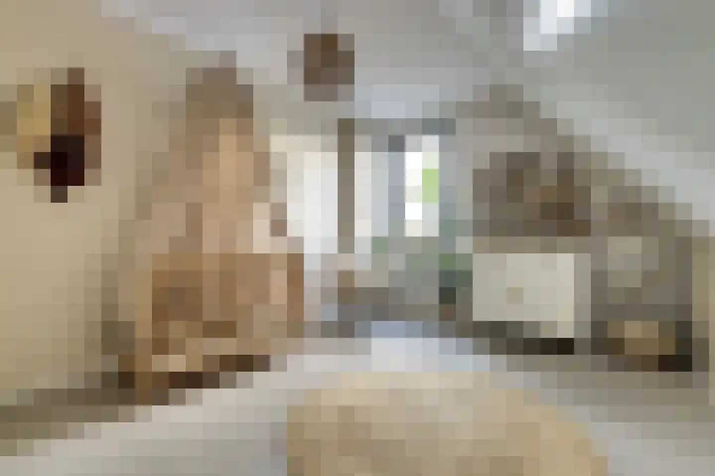 Ferdinand Bollaan 16 Yerseke thumbnail 28
