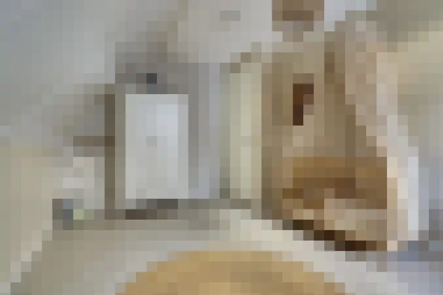 Ferdinand Bollaan 16 Yerseke thumbnail 29