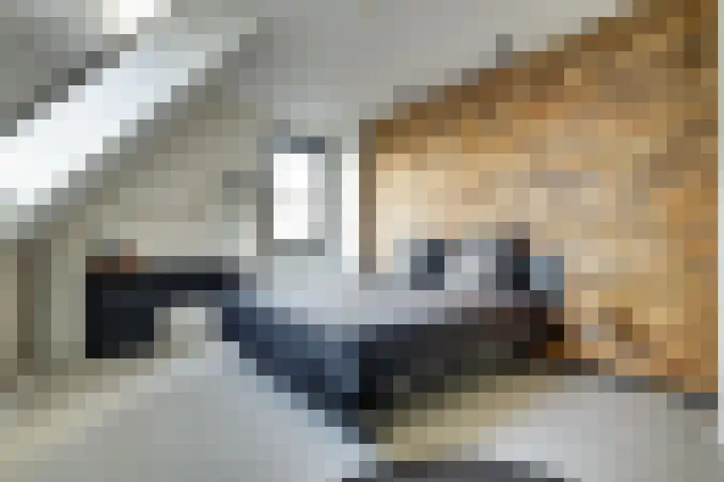 Ferdinand Bollaan 16 Yerseke thumbnail 30