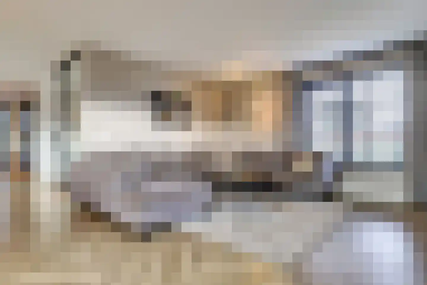 Ferdinand Bollaan 16 Yerseke thumbnail 8