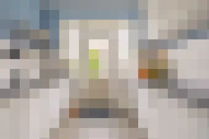 Ferdinand Bollaan 20 Vlissingen thumbnail 15