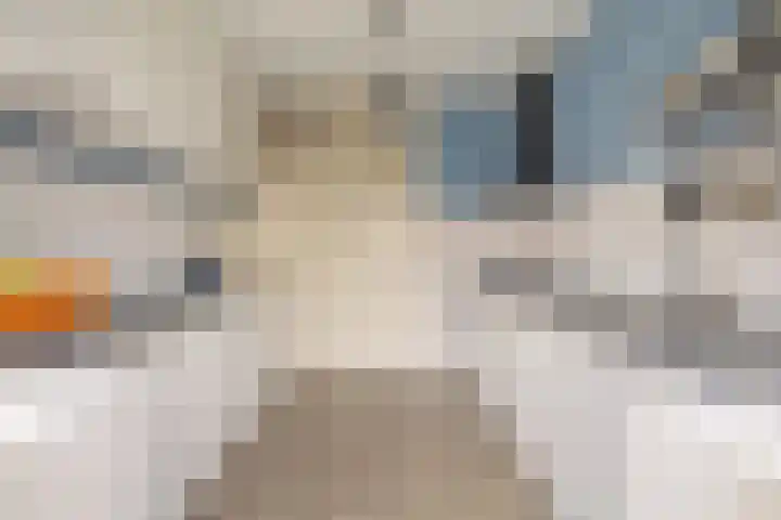 Ferdinand Bollaan 20 Vlissingen thumbnail 16