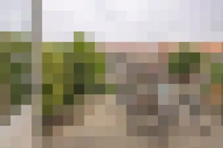Ferdinand Bollaan 20 Vlissingen thumbnail 17