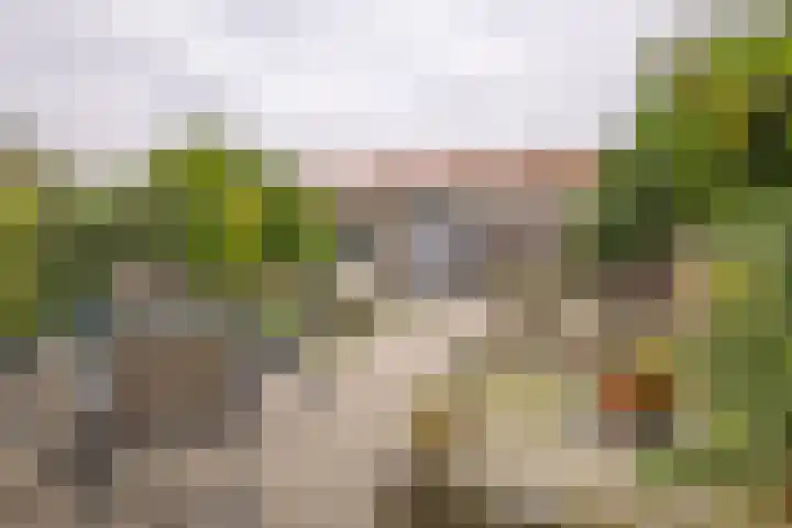 Ferdinand Bollaan 20 Vlissingen thumbnail 18