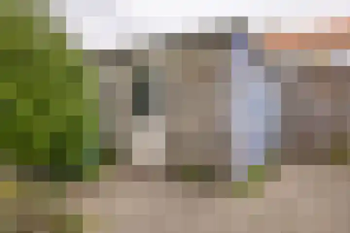 Ferdinand Bollaan 20 Vlissingen thumbnail 19