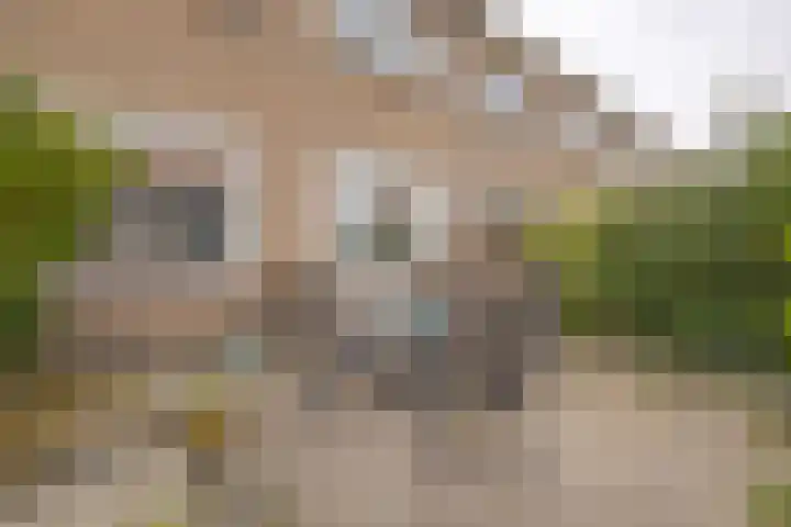 Ferdinand Bollaan 20 Vlissingen thumbnail 21