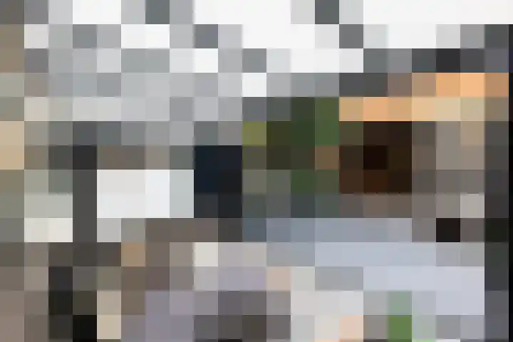 Ferdinand Bollaan 9 Vlissingen thumbnail 15