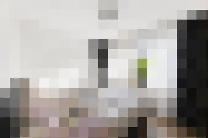Ferdinand Bollaan 9 Vlissingen thumbnail 20