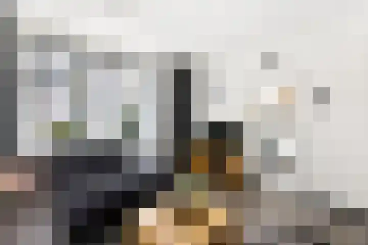 Ferdinand Bollaan 9 Vlissingen thumbnail 8