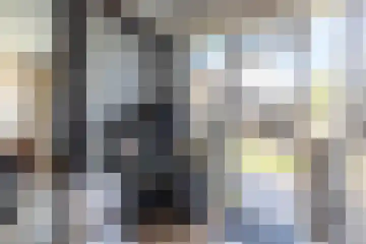 Ferdinand Bolplantsoen 5 Heerhugowaard thumbnail 15