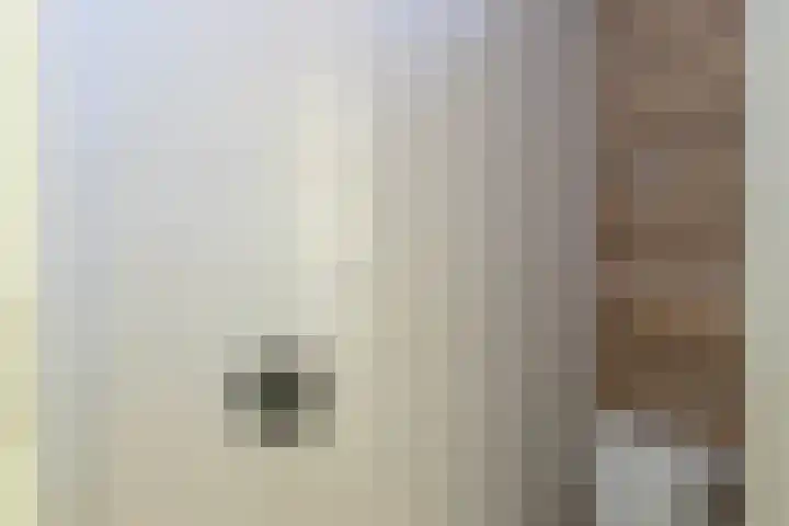 Ferdinand Bolplantsoen 5 Heerhugowaard thumbnail 5