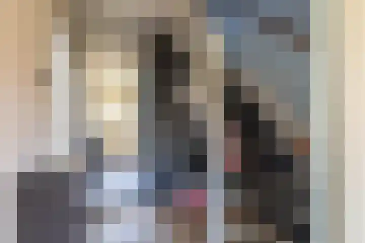 Ferdinand Bolplantsoen 5 Heerhugowaard thumbnail 6