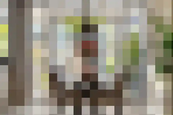 Ferdinand Bolplein 18 Maassluis thumbnail 12