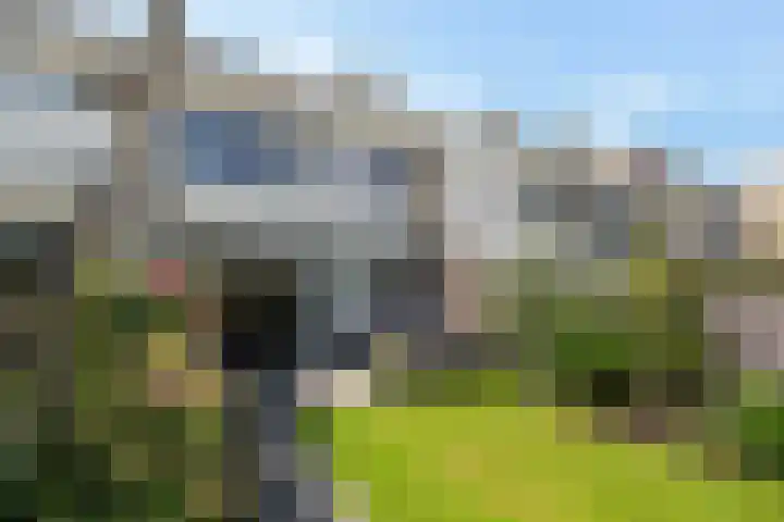 Ferdinand Bolplein 18 Maassluis thumbnail 20
