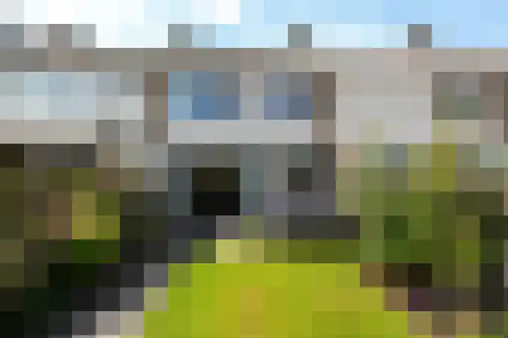 Ferdinand Bolplein 18 Maassluis thumbnail 21