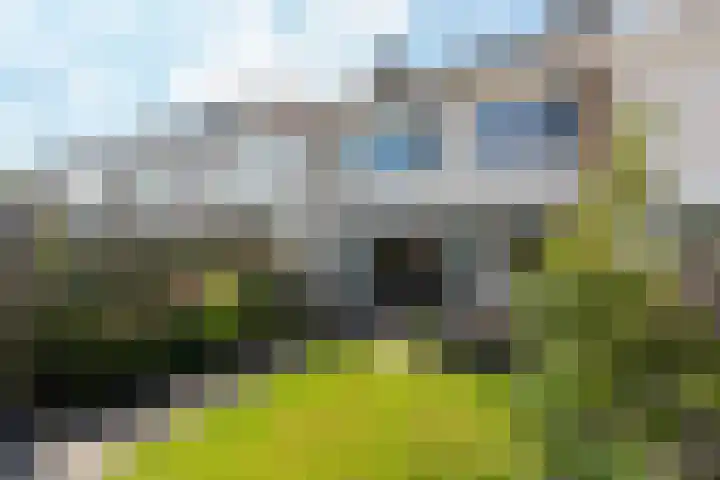 Ferdinand Bolplein 18 Maassluis thumbnail 22