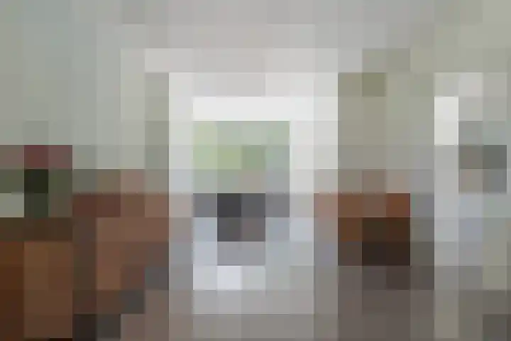 Ferdinand Bolplein 31 Kaatsheuvel thumbnail 8