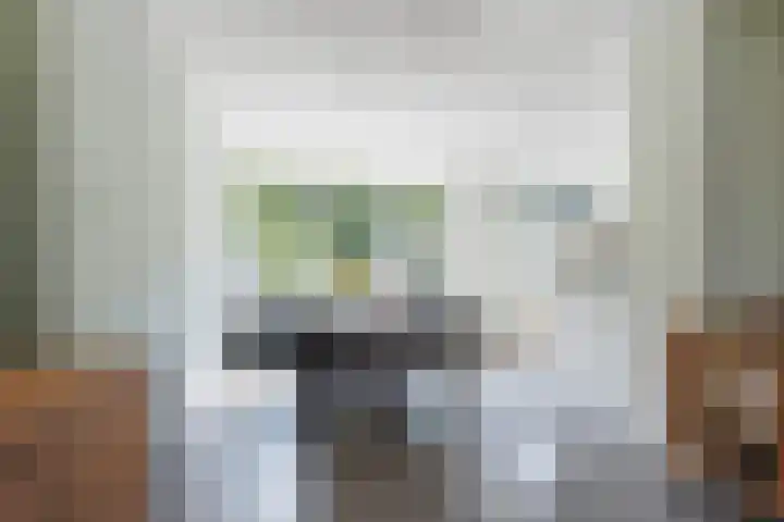 Ferdinand Bolplein 31 Kaatsheuvel thumbnail 9