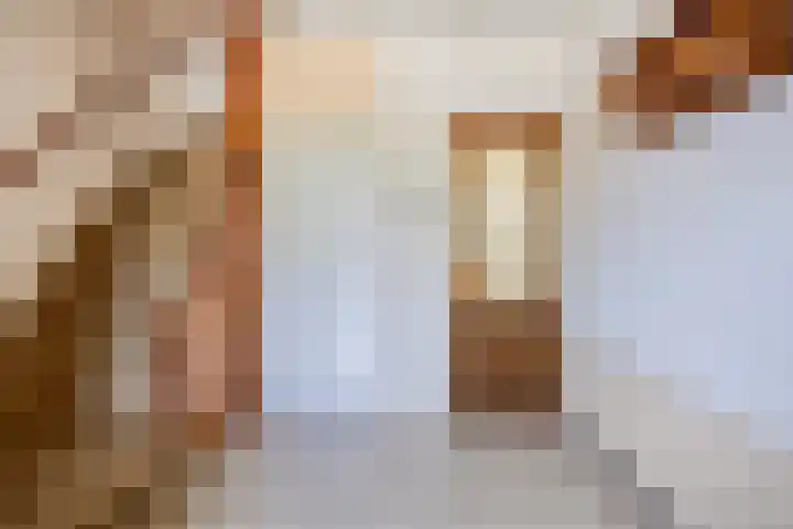 Ferdinand Bolstraat 11 Krimpen aan den IJssel thumbnail 10